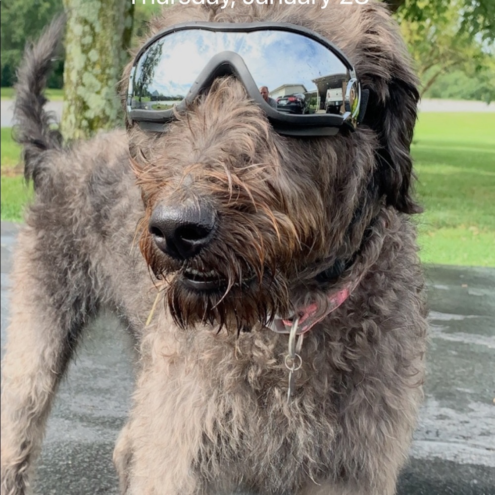 Meet your Posher, Blake